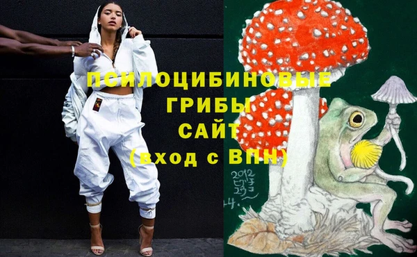 mix Гусиноозёрск