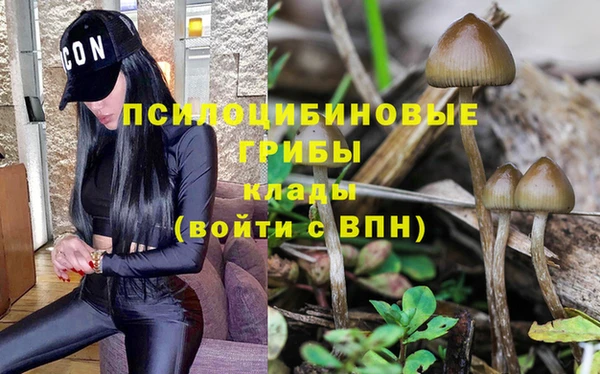 трава Бронницы