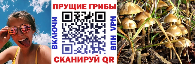Псилоцибиновые грибы GOLDEN TEACHER  сколько стоит  Бородино 