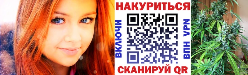 Конопля планчик Бородино